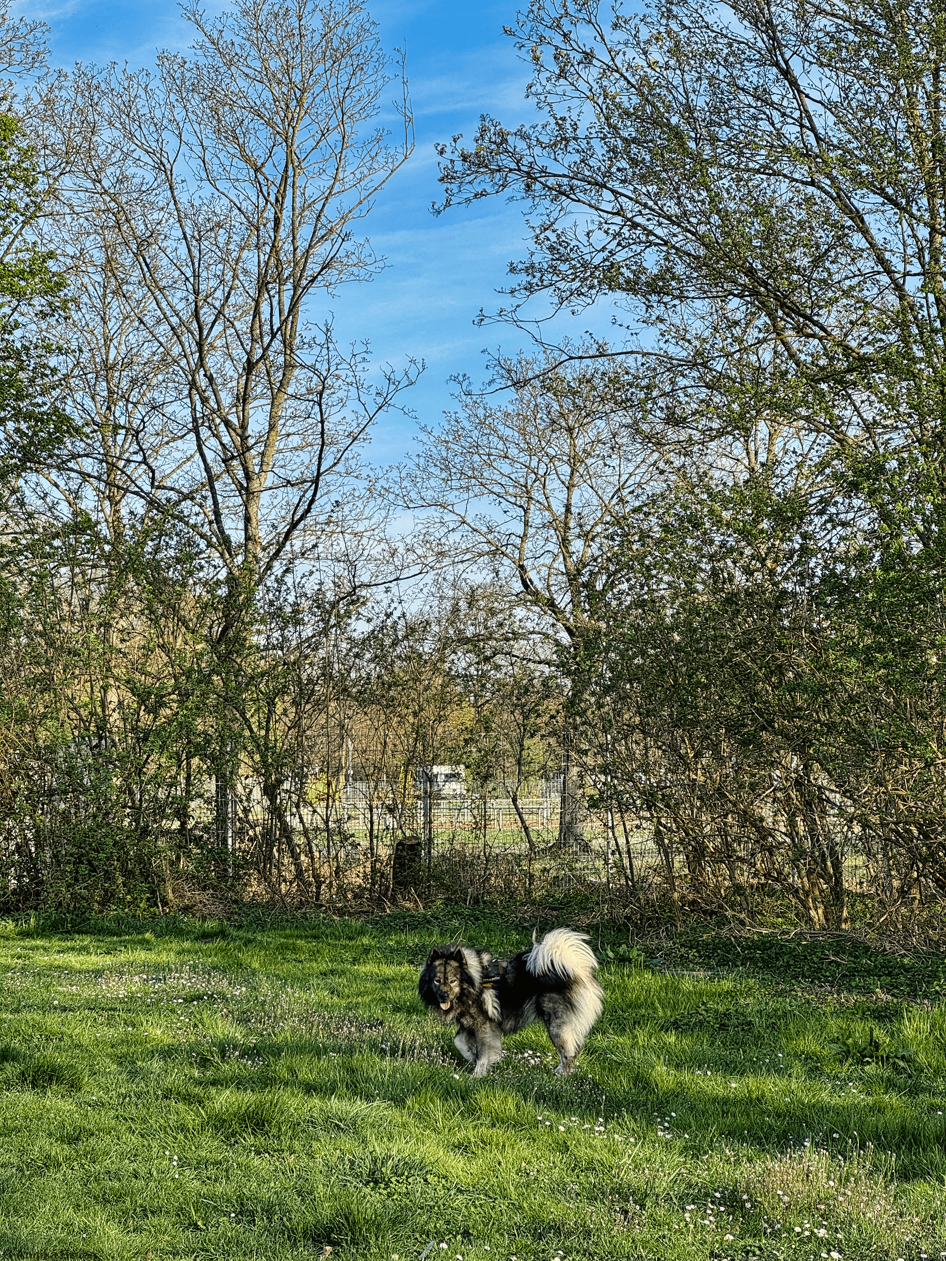 Suchbild wo ist Karl